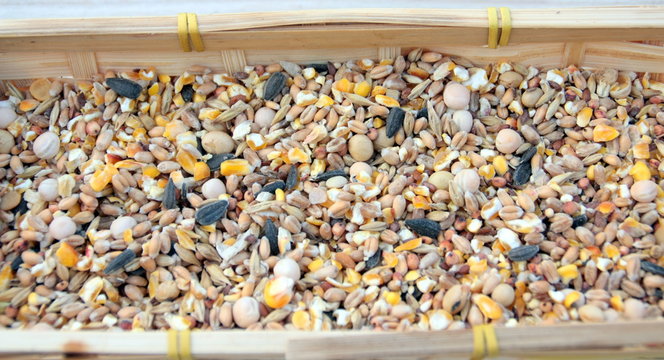  c&eacute;r&eacute;ales pour poule pondeuse