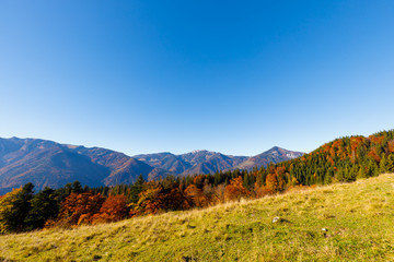 Town Schleching, view from Church Streichen, fall, sunny day