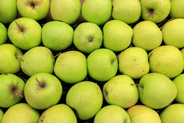 Fresh green apples in Polish supermarket