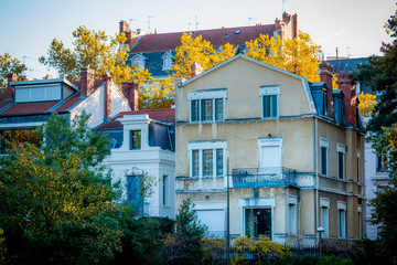 Immeubles à travers les arbres du parc de la Tête d'Or