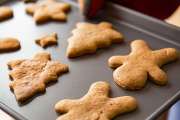 Baking tray with gingerbread holiday cookies