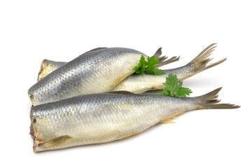 śledzie © robert6666