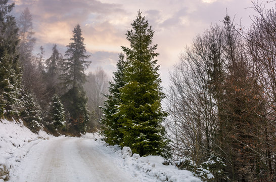 road through snowy forest on foggy morning