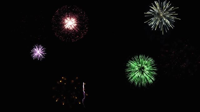 colorful fireworks on the background of a dark night sky 4k video