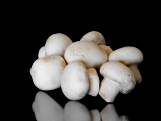 close-up white culture mushroom on bright background