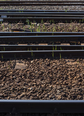 steel railroad tracks