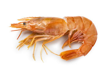 Langostino crudo