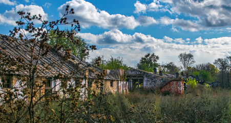 Abandoned deserted huts overgrown with grass and trees. Abandoned buildings, Ukraine