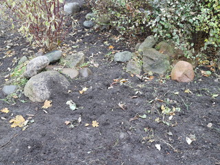 granite stones in the autumn city flowerbed