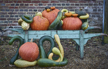 pumpkins, gourds and marrows arranged on an old wooden cart in a garden