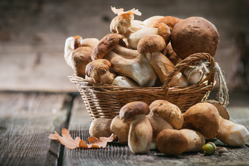 Ceps mushroom. Boletus closeup on wooden rustic table