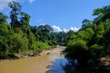 Danum Valley in Sabah, Malaysian Borneo