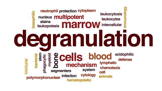 Degranulation animated word cloud, text design animation.