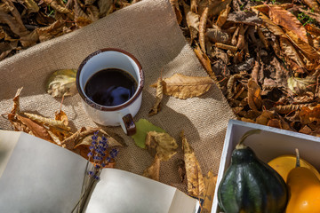 Autumn decoration in the garden on dry colored leaves