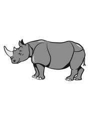 Fototapeta premium nashorn zufrieden