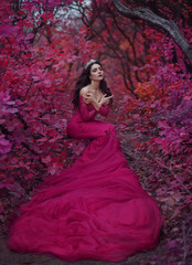 Incredible stunning girl, in a purple dress. The background is fantastic autumn. Artistic photography.