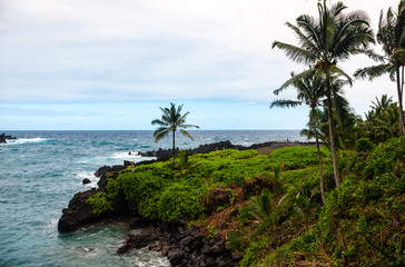Fototapeta na wymiar Waianapanapa State Park on Maui island of Hawaii is featuring black lava sand, tidal caves & native plants