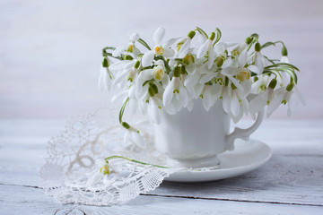 Snowdrops in a cup