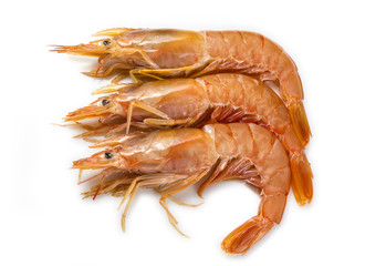 Langostinos frescos
