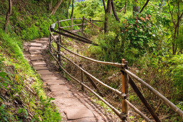 Fototapeta na wymiar path in asia amongst trees of jungle, Thailand