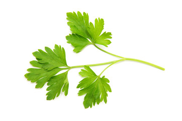 Parsley isolated on white