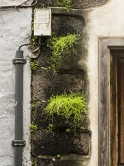 Fassaden in La Laguna- Teneriffa
