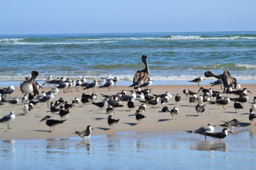 Naklejka premium Surroundings