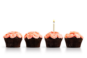 Row of pink cupcakes with a single lit candle isolated on white