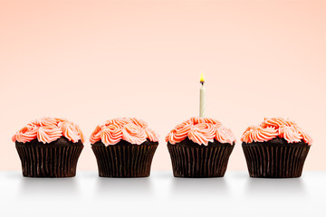 Row of pink cupcakes with a single lit candle on pink background