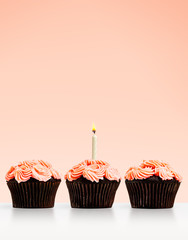Row of cupcakes with a single lit candle on pink background