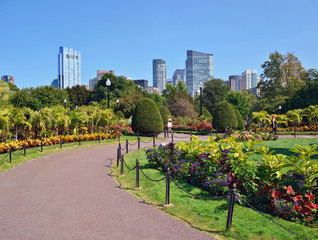Boston Public Garden And City Skyline In Summer