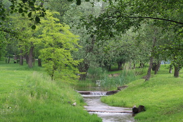 passeggiata nel verde
