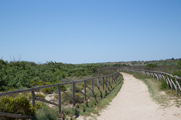 Sentiero, Riserva naturale orientata Oasi faunistica di Vendicari, primavera 