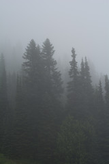 Crystal Mountain Ski Resort Spring Washington Fog