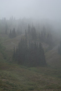 Crystal Mountain Ski Resort Spring Washington Fog