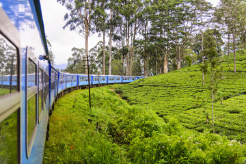 A train goes through tea plantation in Nuwara Eliya district, Sri Lanka. Tea production is one of the main sources of foreign exchange for Sri Lanka (formerly called Ceylon)