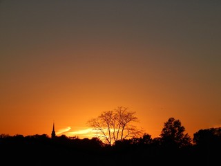 Golden Sunset Over The Trees Horizon 