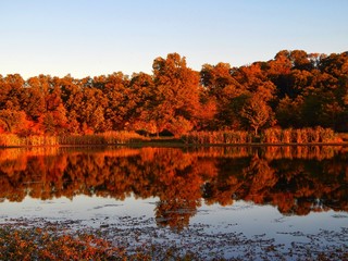 The Colorful Reflections Of The Autumn Trees Across The Water