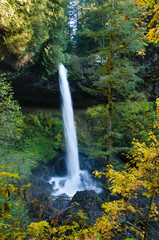 Fototapeta na wymiar Waterfalls drop over 150 feet in a dense forest with some fall colors in the leaves.