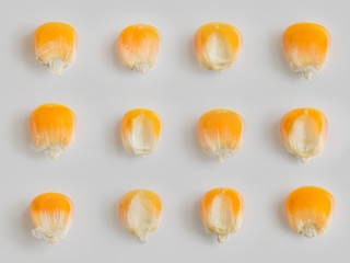 close up top view yellow dry corn seeds pattern on white background