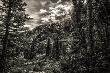 Black and White Rocky Mountain Lanscape