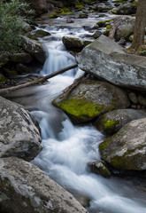 Naklejka na ściany i meble Waterfalls in Smoky Moutain National Park