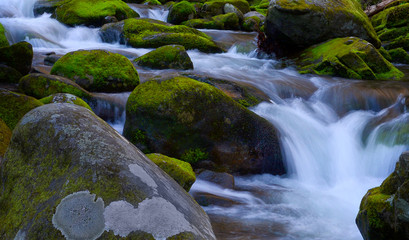 Naklejka na ściany i meble Waterfall in Smoky Mountain National Park