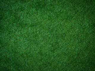 Close up Green grass