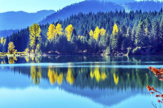 Blue Water Yewllow Trees Gold Lake Autumn Snoqualme Pass Washington