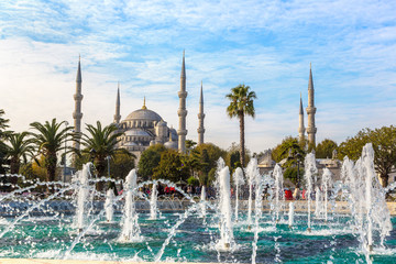 Naklejka premium Blue mosque in Istanbul