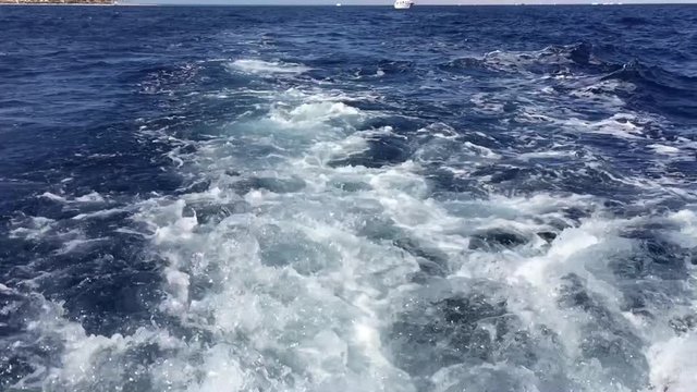 The catterpillar floats over the sea, the camera down full hd