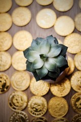 Gold bitcoin green flower