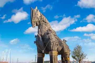 Deurstickers Trojaanse paard © Sergii Figurnyi