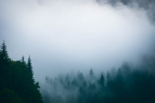 Fototapeta Foggy morning in the mountains